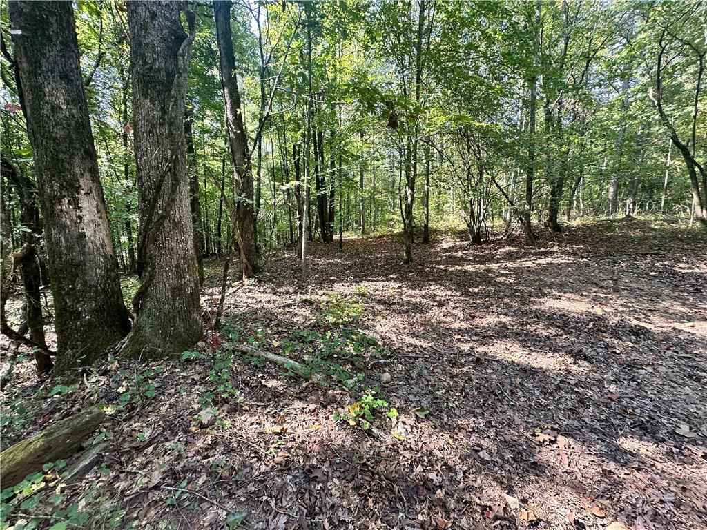 7330 Frix Road Cumming, GA 30028 - Photo 18 of 32 a view of a forest with trees in the background