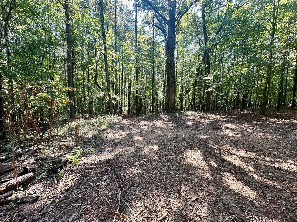 7330 Frix Road Cumming, GA 30028 - Photo 19 of 32 a view of outdoor space with trees