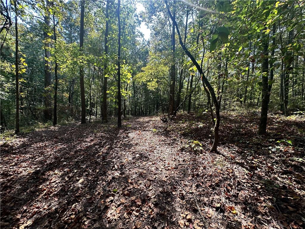 7330 Frix Road Cumming, GA 30028 - Photo 20 of 32 a view of a forest with trees in the background
