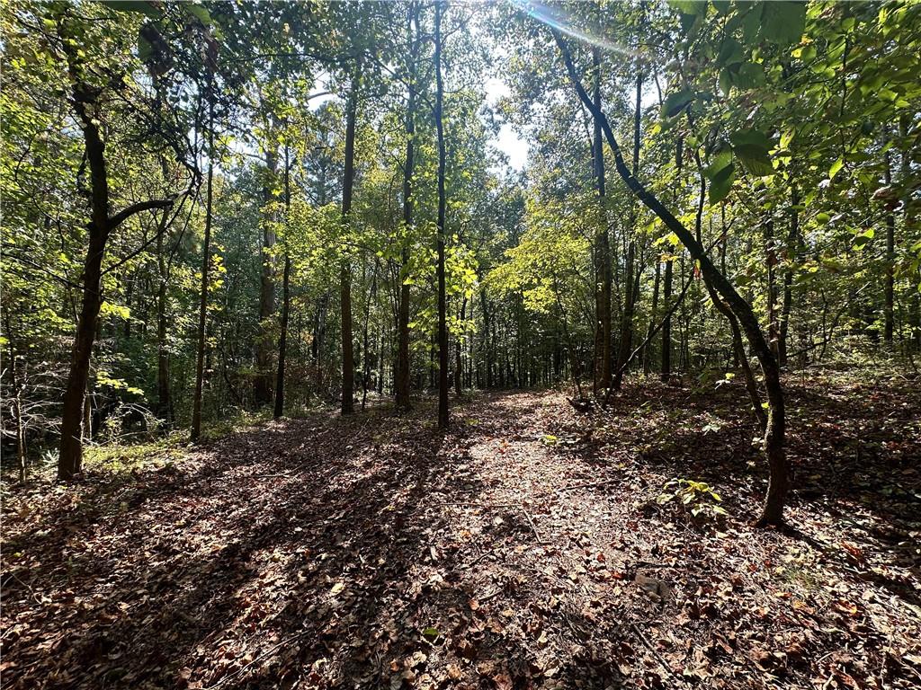 7330 Frix Road Cumming, GA 30028 - Photo 22 of 32 a view of a forest filled with trees