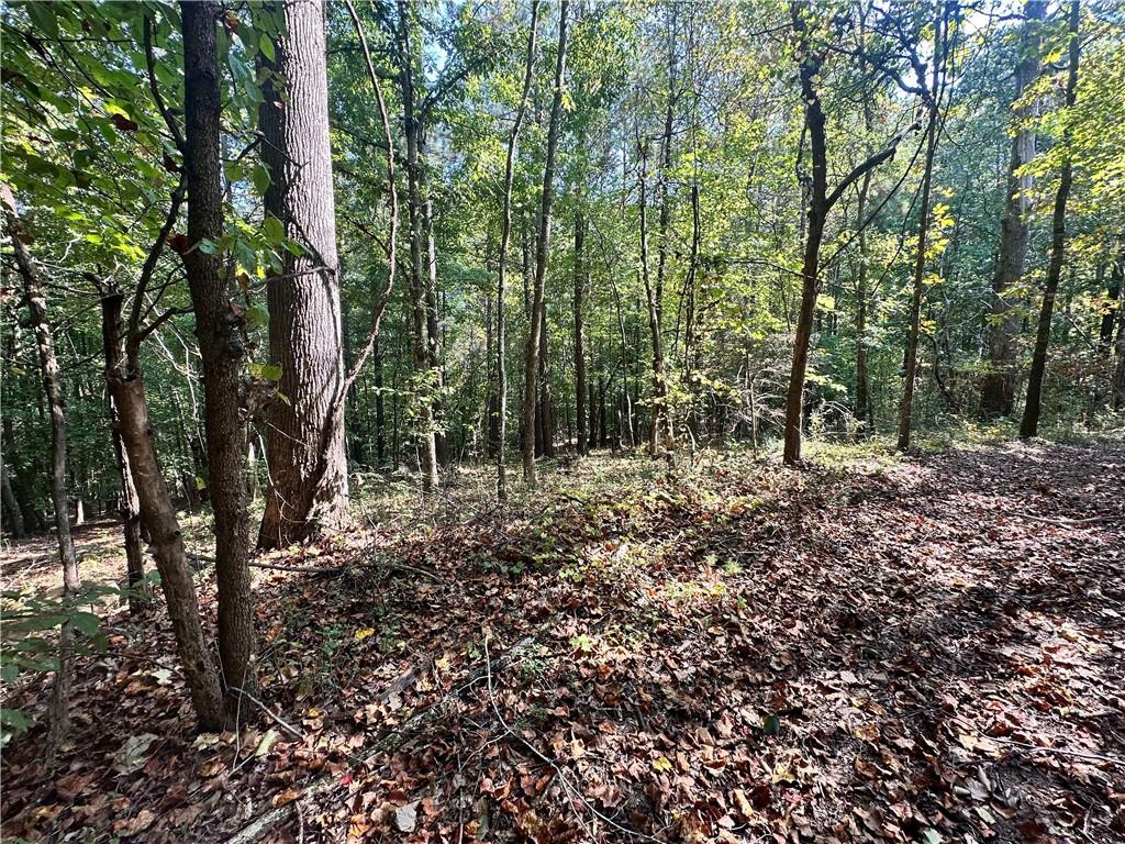 7330 Frix Road Cumming, GA 30028 - Photo 23 of 32 a view of outdoor space and trees
