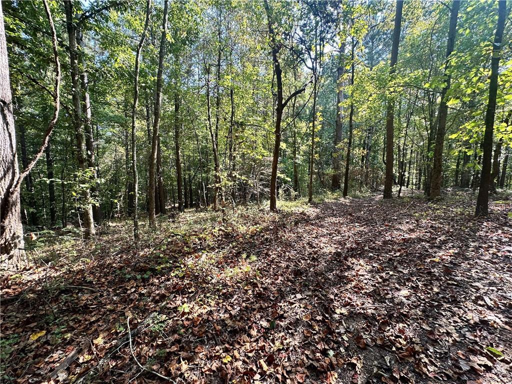 7330 Frix Road Cumming, GA 30028 - Photo 24 of 32 a view of outdoor space and trees