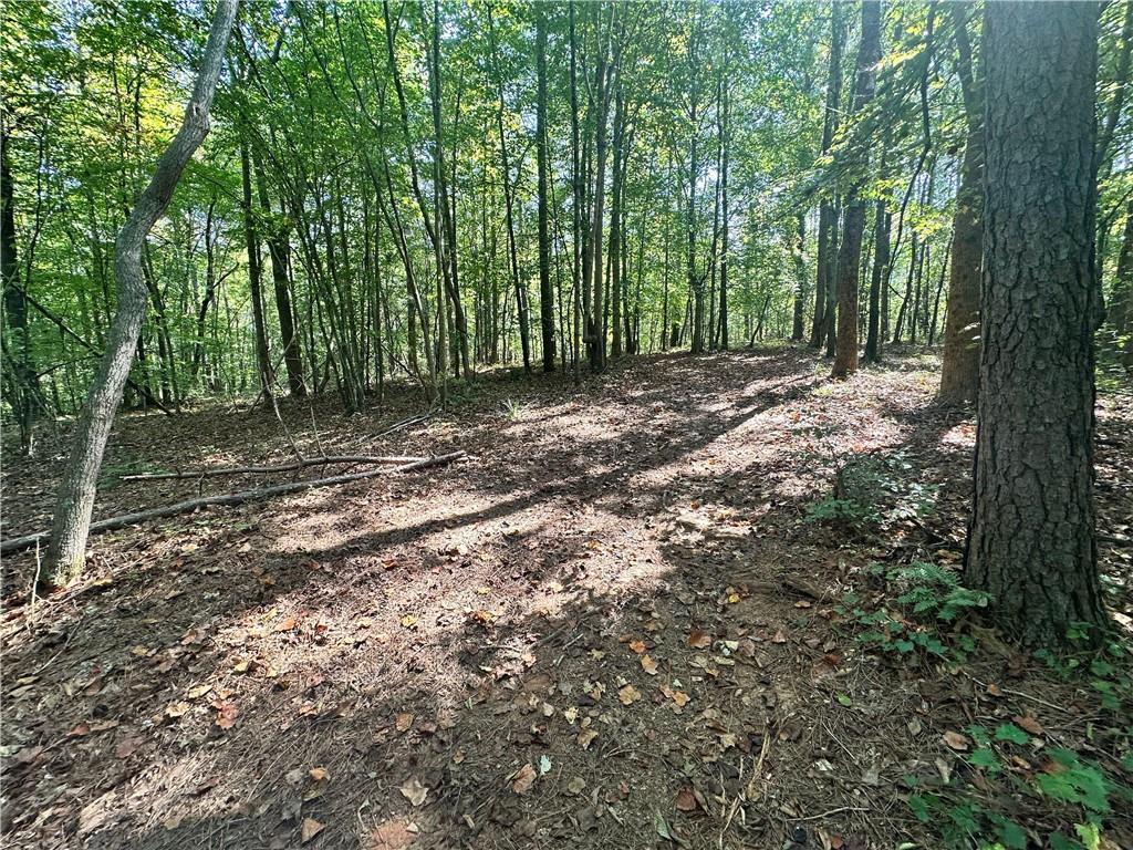 7330 Frix Road Cumming, GA 30028 - Photo 25 of 32 a view of outdoor space and yard