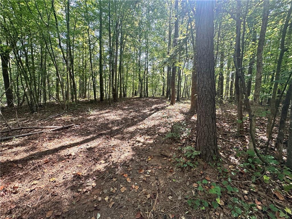 7330 Frix Road Cumming, GA 30028 - Photo 26 of 32 a view of a forest with trees