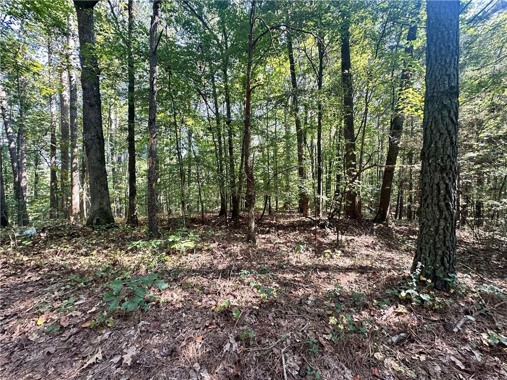 7330 Frix Road Cumming, GA 30028 - Photo 27 of 32 a view of a forest with trees