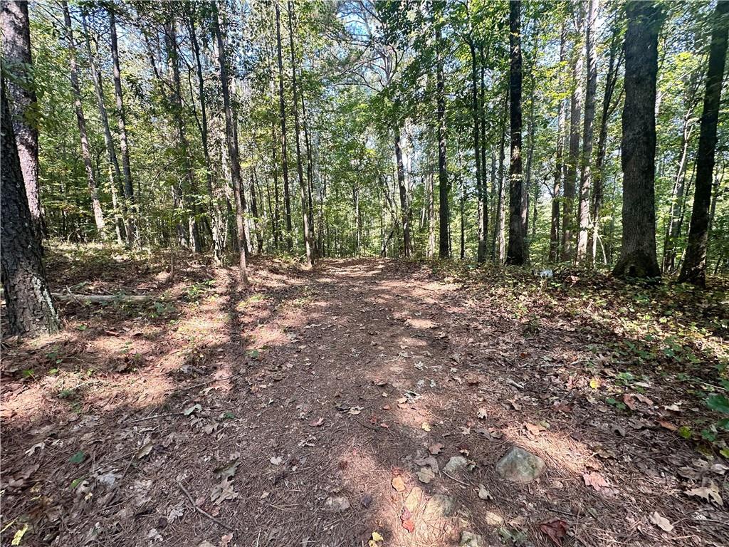 7330 Frix Road Cumming, GA 30028 - Photo 28 of 32 a view of outdoor space with trees