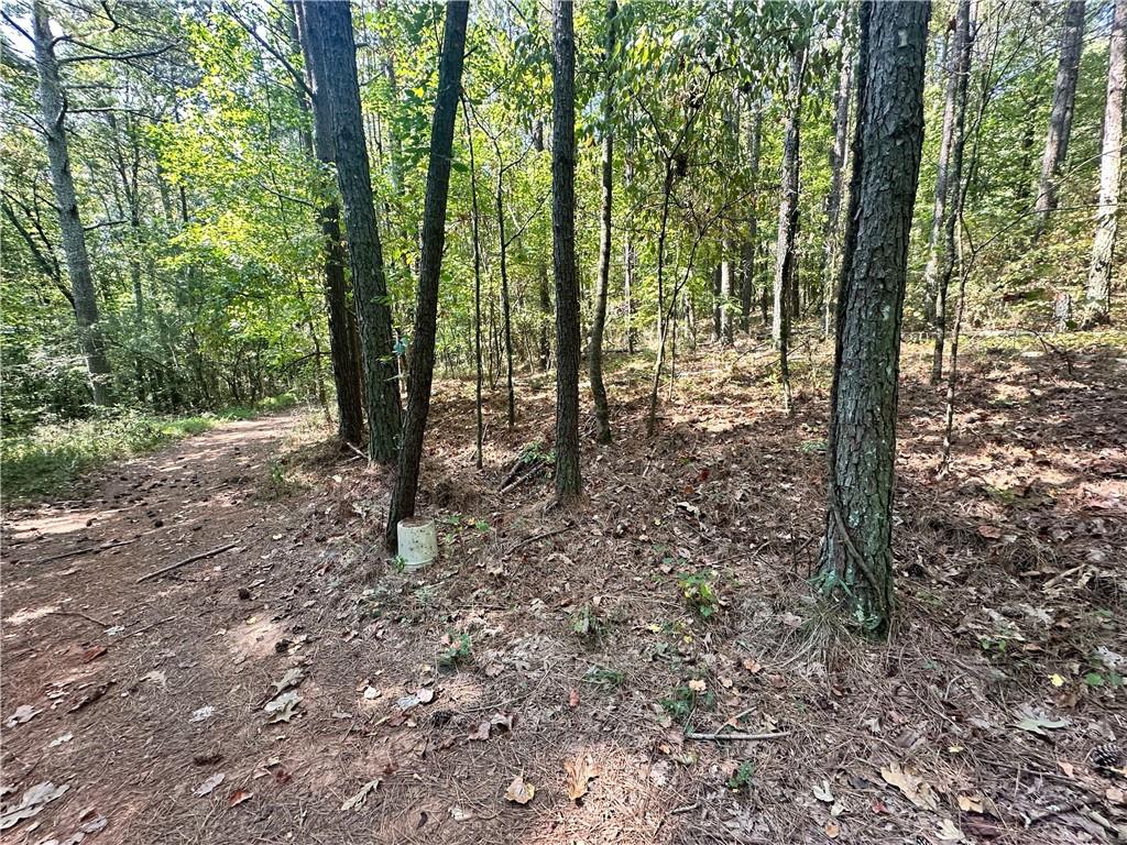 7330 Frix Road Cumming, GA 30028 - Photo 31 of 32 a view of outdoor space with lots of trees