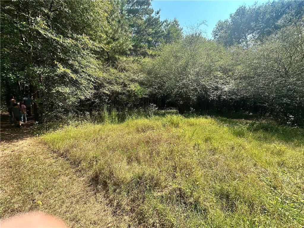 7330 Frix Road Cumming, GA 30028 - Photo 8 of 32 a view of lake view