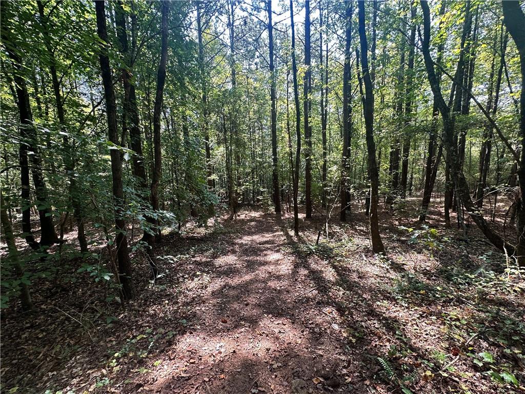 7330 Frix Road Cumming, GA 30028 - Photo 10 of 32 a view of forest