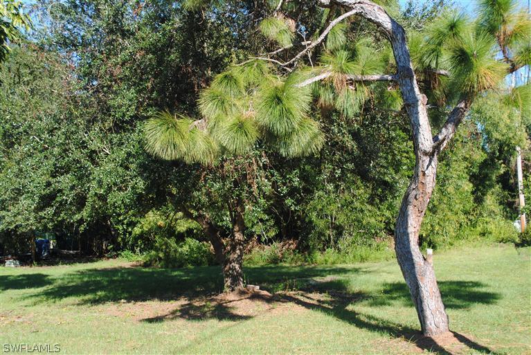12266 Dolphin Road Bokeelia, FL 33922 - Photo 1 of 5 a view of a yard with large trees