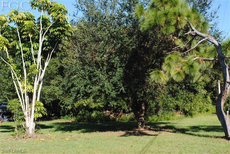 12266 Dolphin Road Bokeelia, FL 33922 - Photo 4 of 5 a view of a tree in a yard