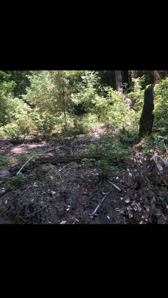 0 Visitar Street Scotts Valley, CA 95066 - Photo 3 of 5 a view of a yard