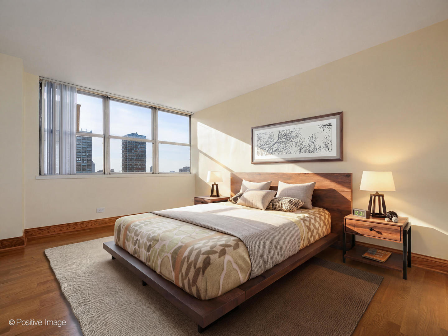 6301 North Sheridan Road, Unit 14O Chicago, IL 60660 - Photo 9 of 22