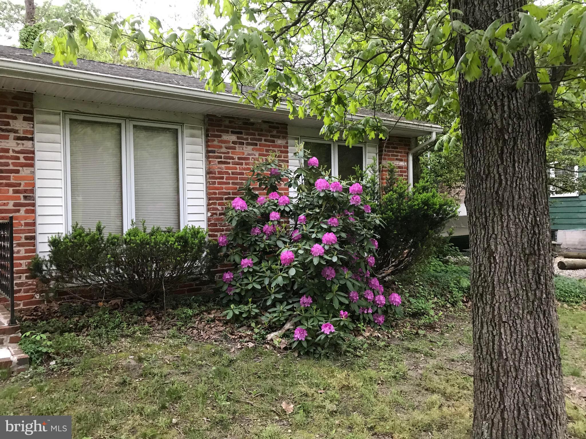 546 Kettle Run Road Marlton, NJ 08053 - Photo 3 of 26