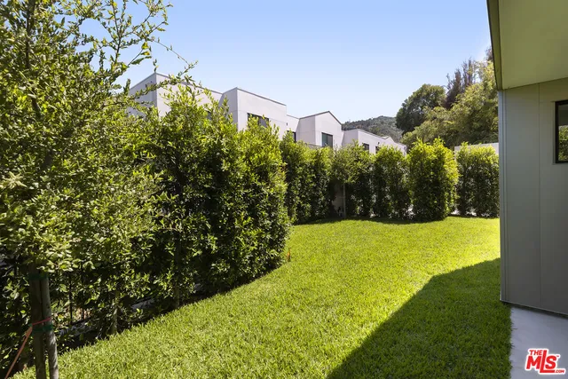 a view of a large yard with large trees