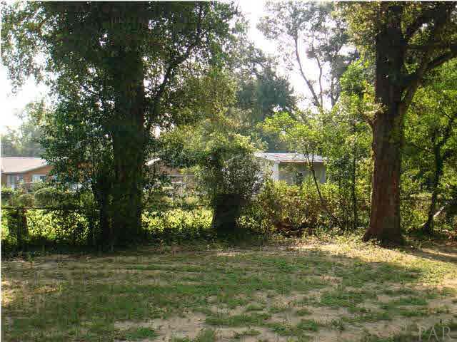 101 Ruberia Avenue Pensacola, FL 32507 - Photo 10 of 12 Nice shady backyard with new septic tank & drain lines.