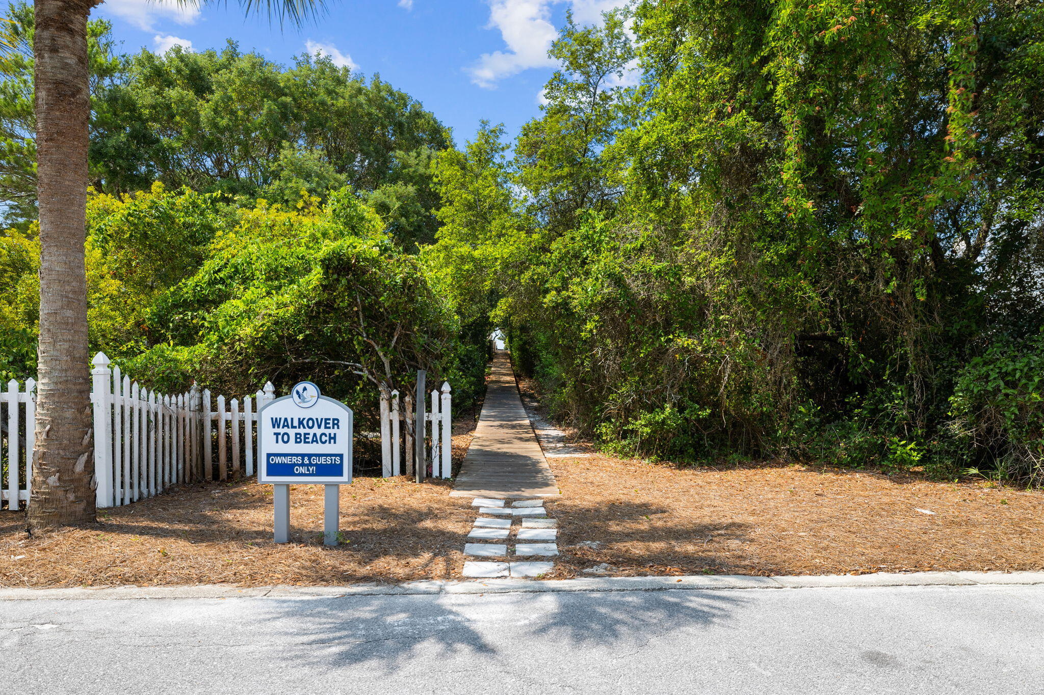 373 Pelican Circle Inlet Beach, FL 32461 - Photo 50 of 61 Array_373PelicanCir-66