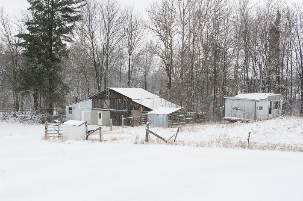 15795 Jefferson Road Morley, MI 49336 - Photo 11 of 28 IMGP0014