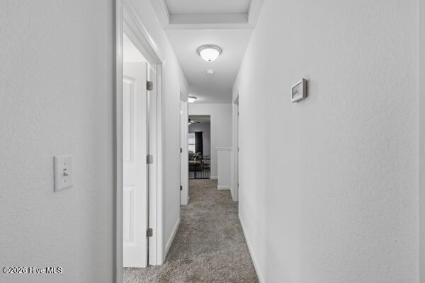 100 Bailey Farm Road Shawboro, NC 27973 - Photo 43 of 45 44