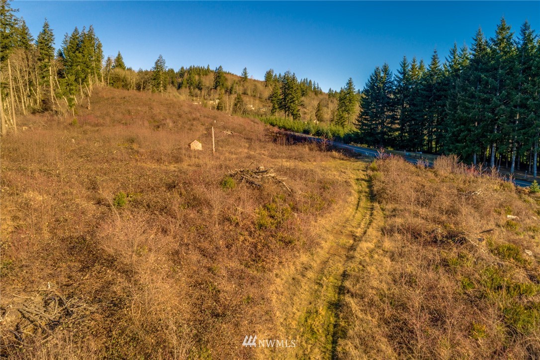 503 Harrison Road Kelso, WA 98626 - Photo 1 of 6 Gallery Image 1