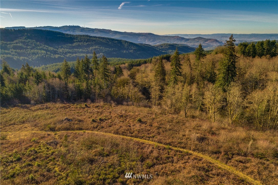 503 Harrison Road Kelso, WA 98626 - Photo 4 of 6 Gallery Image 4
