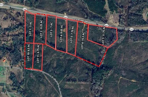 $30,000 | 540 Ms Highway, Braxton, MS 39044