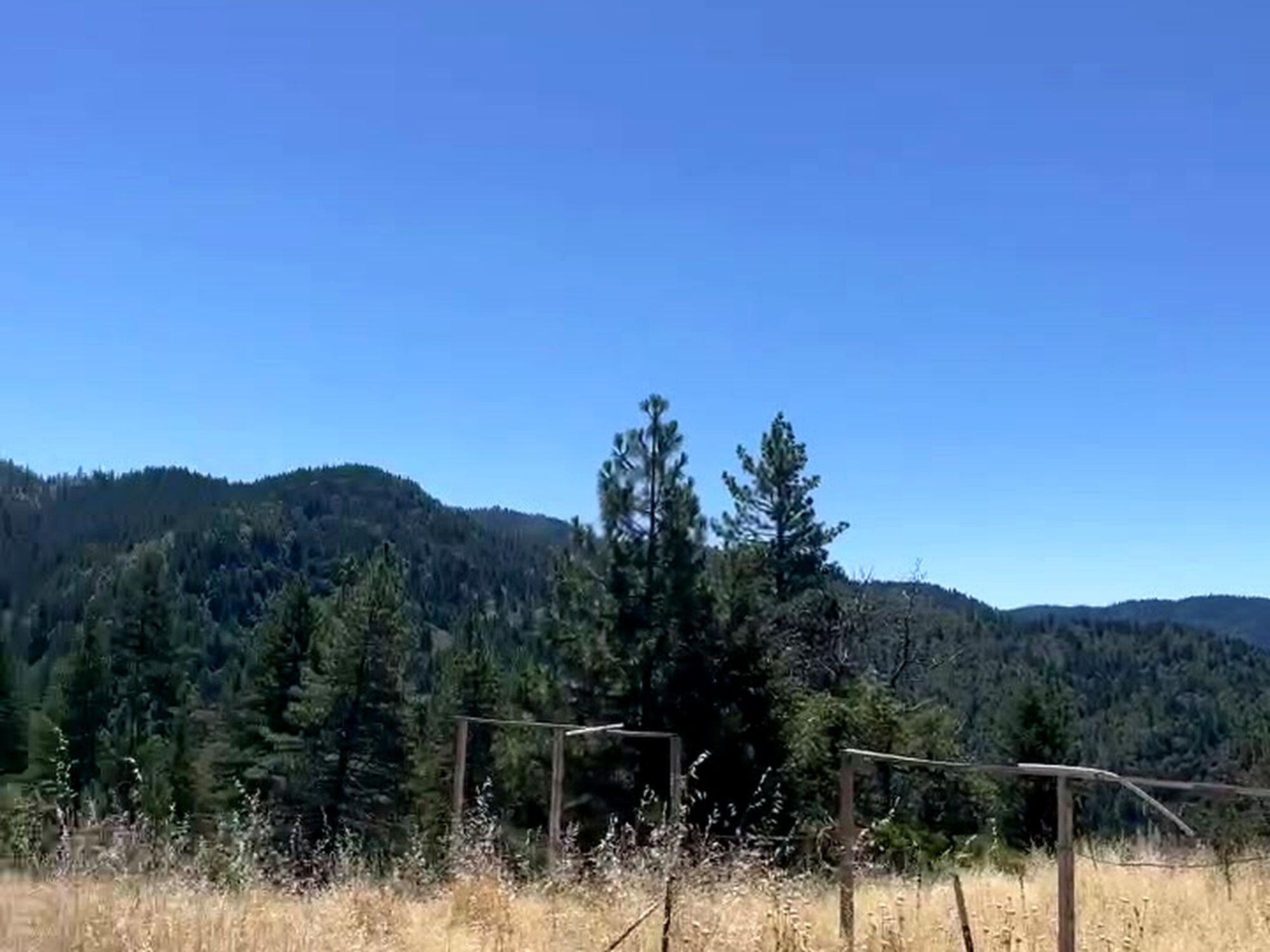 46 Burr Valley Road Bridgeville, CA 95526 - Photo 15 of 23 Gallery Image 15