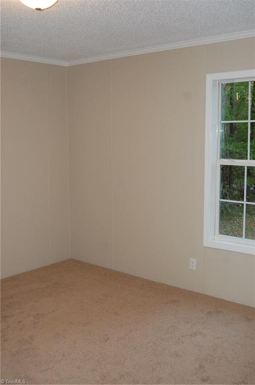 4615 Larkland Road Climax, NC 27233 - Photo 9 of 25 Gallery Image 9