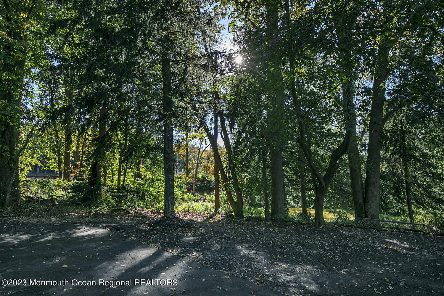 961 West Front Street Red Bank, NJ 07701 - Photo 41 of 46 a view of a forest with trees in the background