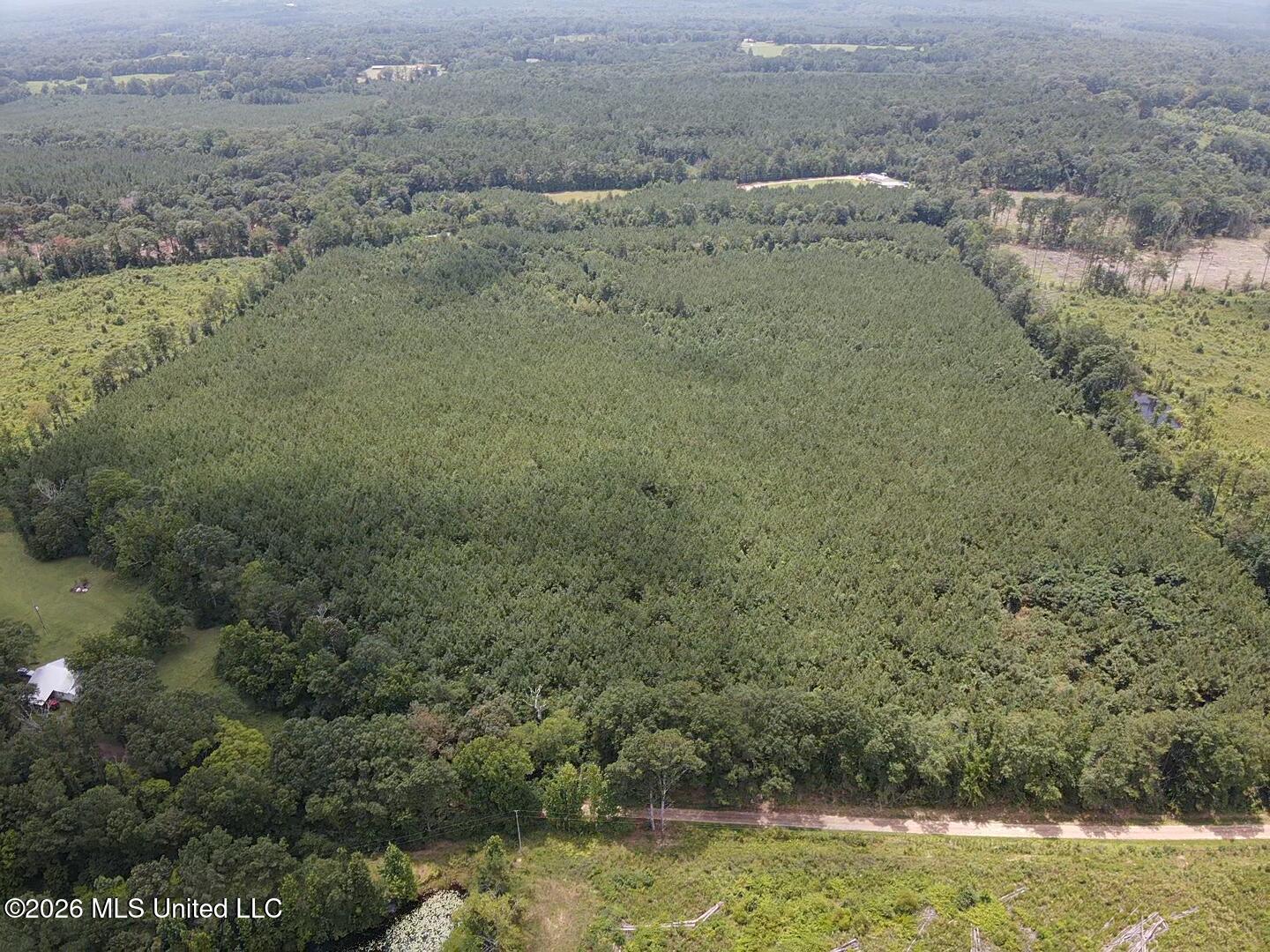 131 B County Road Morton, MS 39117 - Photo 9 of 25 2026-07-05-13-44-03-318