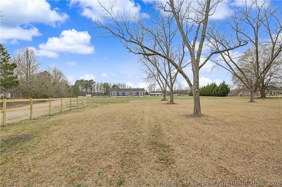 9109 Chicken Foot Road St. Pauls, NC 28384 - Photo 3 of 50 Mature Pecan Trees