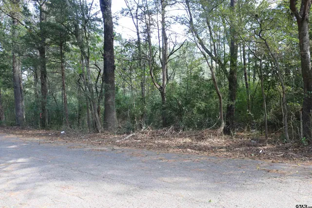 a view of outdoor space with trees