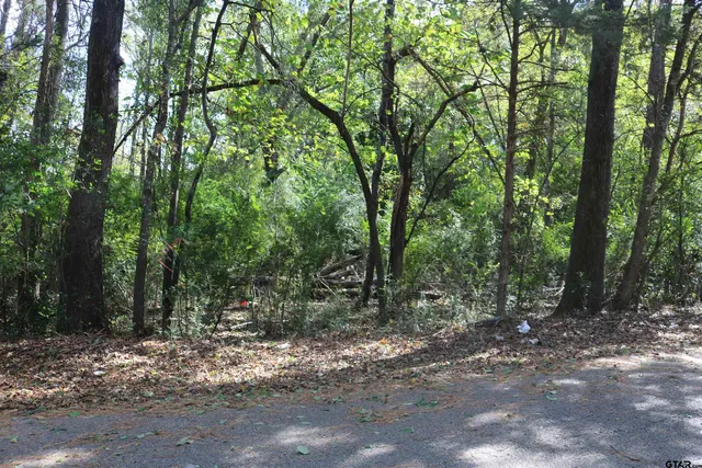 a view of outdoor space and trees