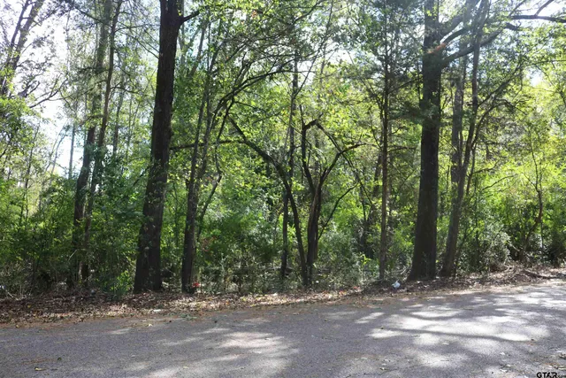 a view of outdoor space with trees