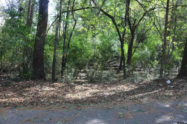 a view of a forest