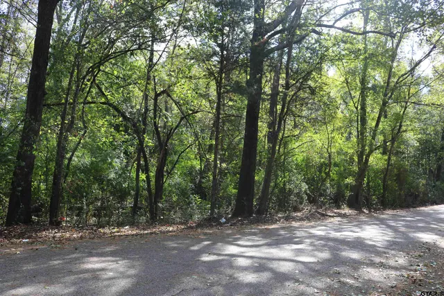 a view of outdoor space with trees