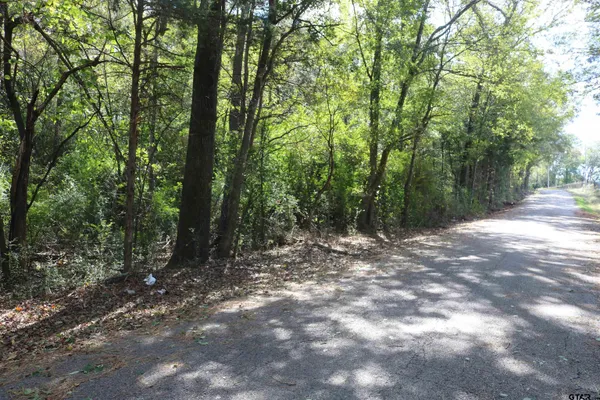 a view of a forest with trees in the background