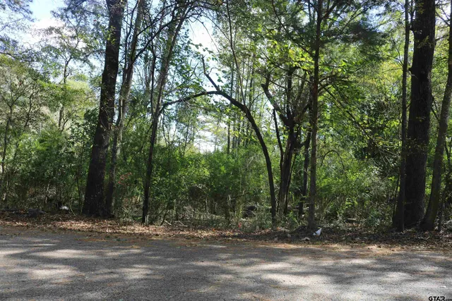 a view of a yard with large trees