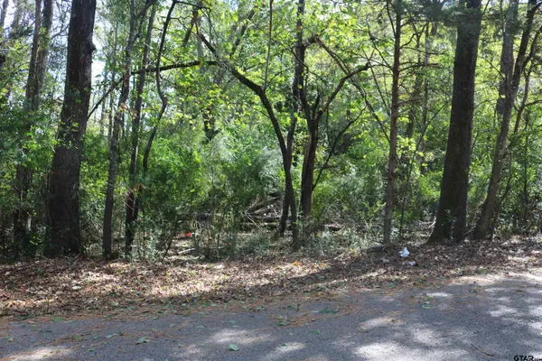 a view of outdoor space and trees