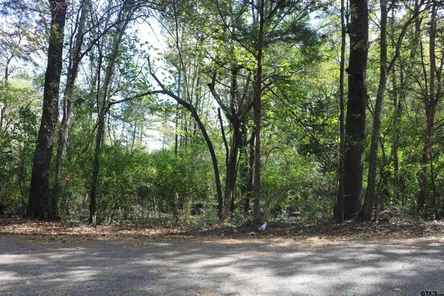 a view of a yard with large trees