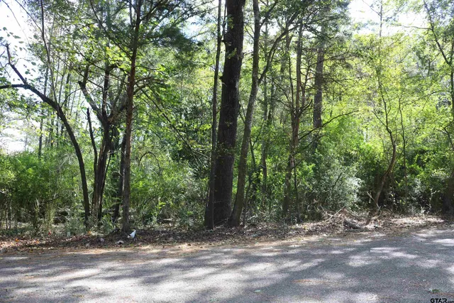 a view of outdoor space with trees