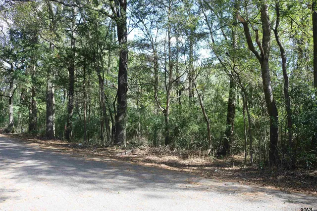a view of a yard with large trees
