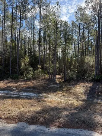 $17,500 | 24 Heritage Circle, Hortense, GA 31543