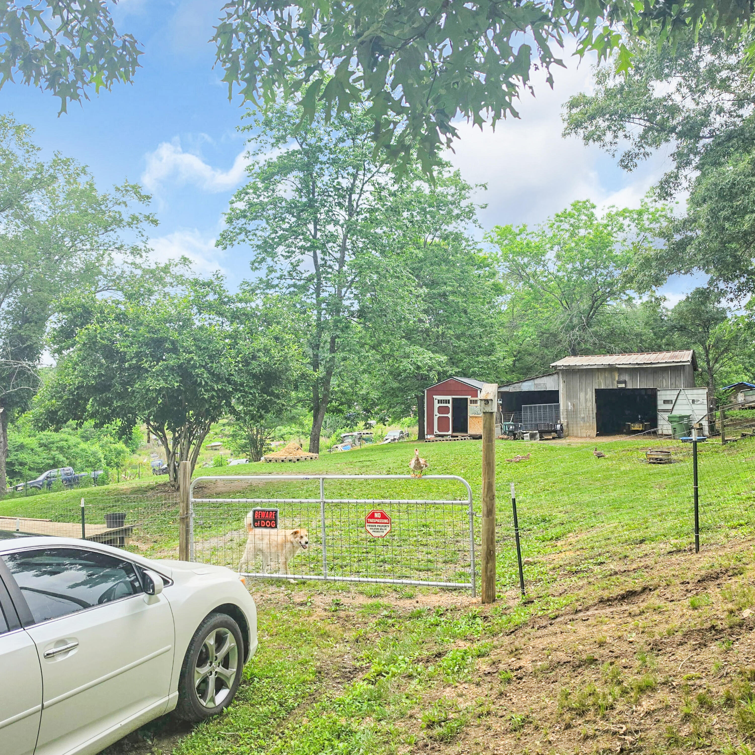 240 Ridge Road Whitwell, TN 37397 - Photo 23 of 25 4106