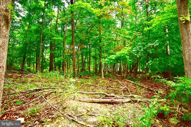 a view of a lake from a lake