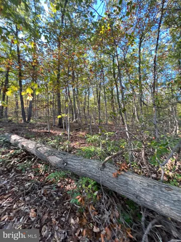 a backyard of a house with lots of trees