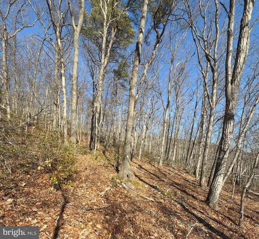 $25,000 | Fox Trail, Winchester, VA 22602