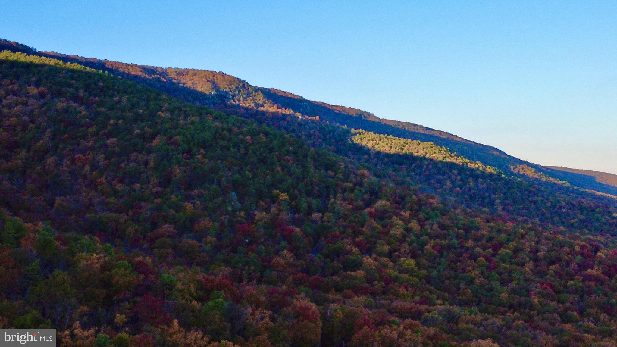 Fox Trail Winchester, VA 22602 - Photo 3 of 21 a view of a building