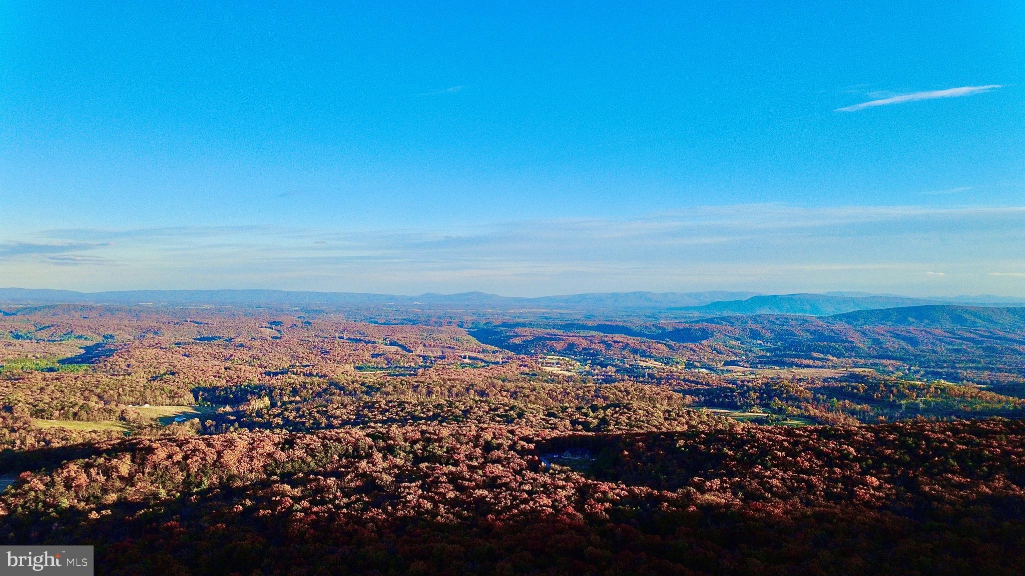 Fox Trail Winchester, VA 22602 - Photo 4 of 21 an aerial view of residential building and trees around