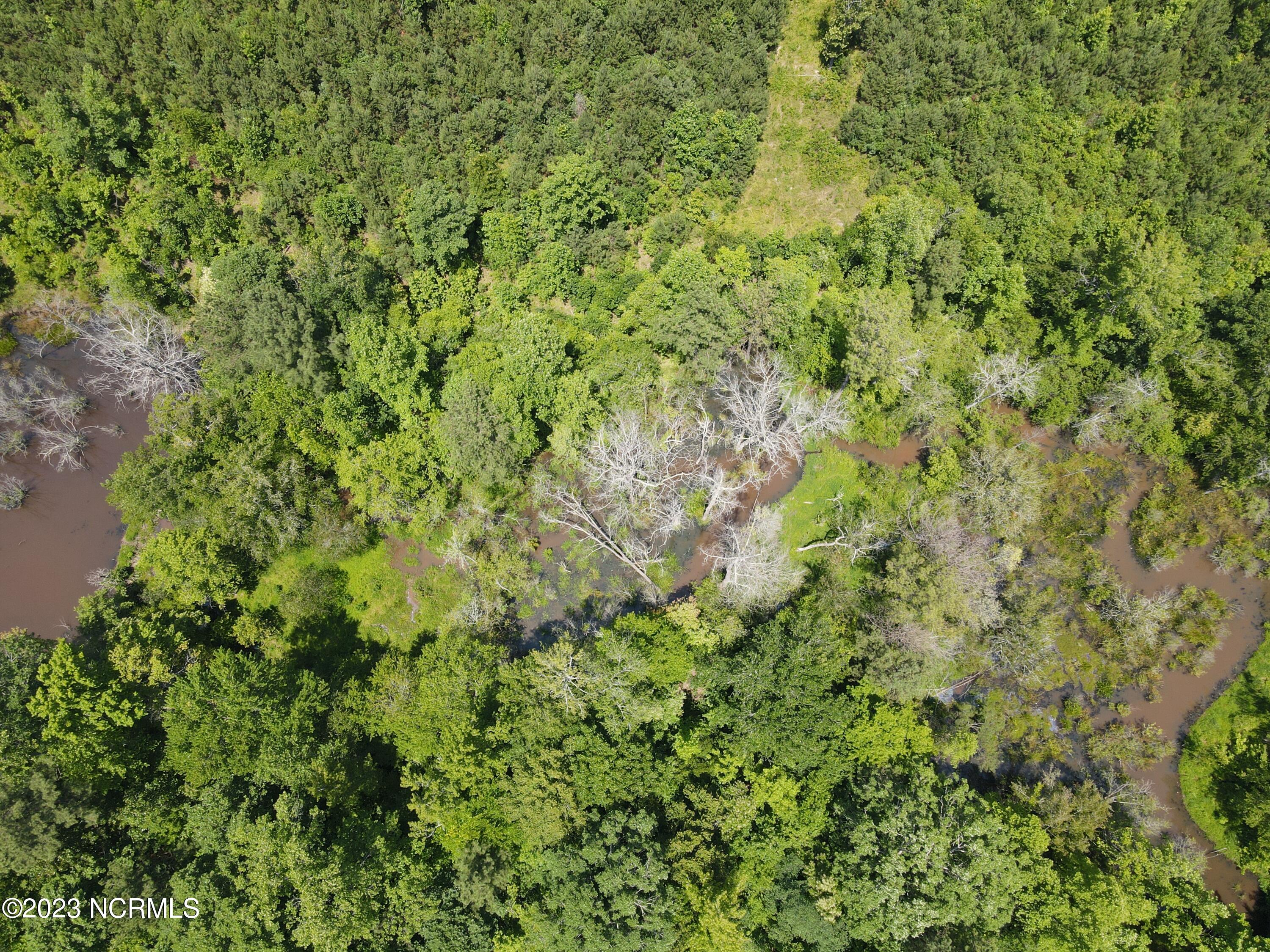 472 Eaton Ferry Road Littleton, NC 27850 - Photo 27 of 86 EFR 11